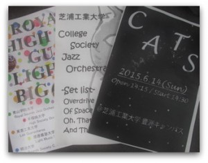 CATS-201506