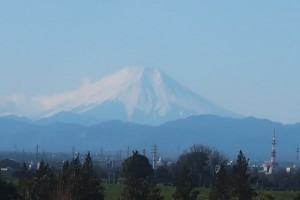 fuji20190101